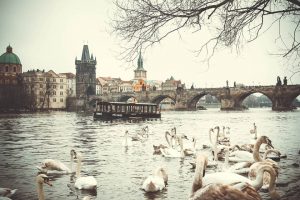 Why choose a business for sale in the Czech Republic?